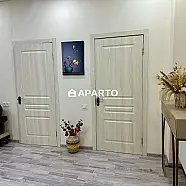 250 ლარი ღამე, ბინა დღიურად