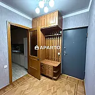 100 ლარი ღამე, ბინა დღიურად