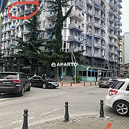 85 ლარი ღამე, ბინა დღიურად