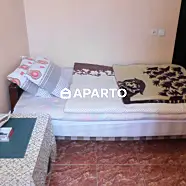 60 ლარი ღამე, ბინა დღიურად