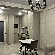 100 ლარი ღამე, ბინა დღიურად