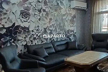 80 ლარი ღამე, ბინა დღიურად