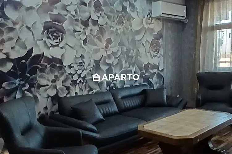 80 ლარი ღამე, ბინა დღიურად