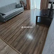 80 ლარი ღამე, ბინა დღიურად