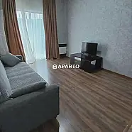 80 ლარი ღამე, ბინა დღიურად