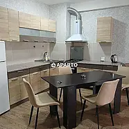 80 ლარი ღამე, ბინა დღიურად
