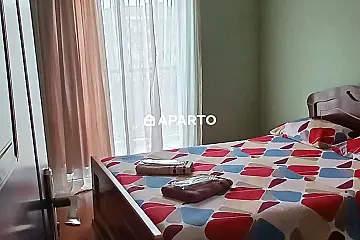 80 ლარი ღამე, ბინა დღიურად