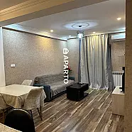 80 ლარი ღამე, ბინა დღიურად