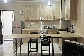 80 ლარი ღამე, ბინა დღიურად