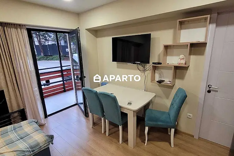 150 ლარი ღამე, ბინა დღიურად