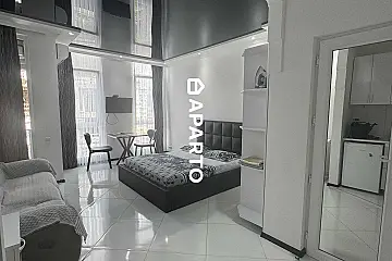 100 ლარი ღამე, ბინა დღიურად