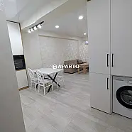 120 ლარი ღამე, ბინა დღიურად