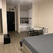 120 ლარი ღამე, ბინა დღიურად