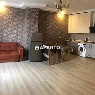 60 ლარი ღამე, ბინა დღიურად
