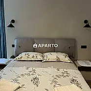120 ლარი ღამე, ბინა დღიურად