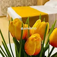 90 ლარი ღამე, ბინა დღიურად