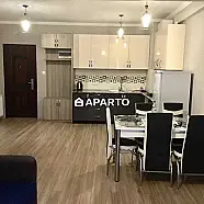 85 ლარი ღამე, ბინა დღიურად