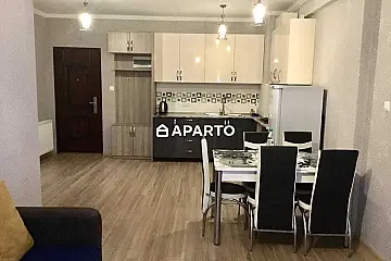 85 ლარი ღამე, ბინა დღიურად
