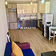 85 ლარი ღამე, ბინა დღიურად
