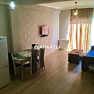 85 ლარი ღამე, ბინა დღიურად