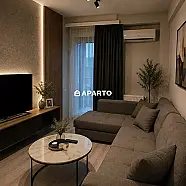 100 ლარი ღამე, ბინა დღიურად
