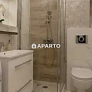 100 ლარი ღამე, ბინა დღიურად