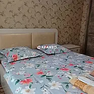 80 ლარი ღამე, ბინა დღიურად