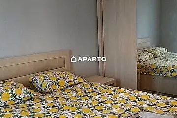 80 ლარი ღამე, ბინა დღიურად
