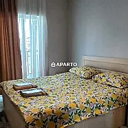 80 ლარი ღამე, ბინა დღიურად