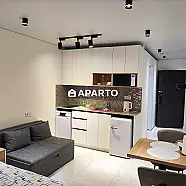 150 ლარი ღამე, ბინა დღიურად