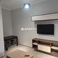 1200 ლარი ღამე, ბინა დღიურად