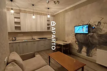 90 ლარი ღამე, ბინა დღიურად