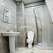 38 ლარი ღამე, ბინა დღიურად