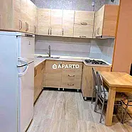 50 ლარი ღამე, ბინა დღიურად