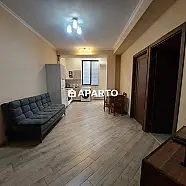 120 ლარი ღამე, ბინა დღიურად