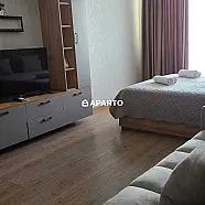 90 ლარი ღამე, ბინა დღიურად