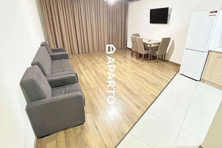 150 ლარი ღამე, ბინა დღიურად