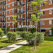 250 ლარი ღამე, ბინა დღიურად