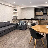 250 ლარი ღამე, ბინა დღიურად