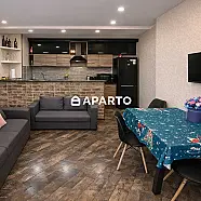 250 ლარი ღამე, ბინა დღიურად