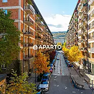 250 ლარი ღამე, ბინა დღიურად