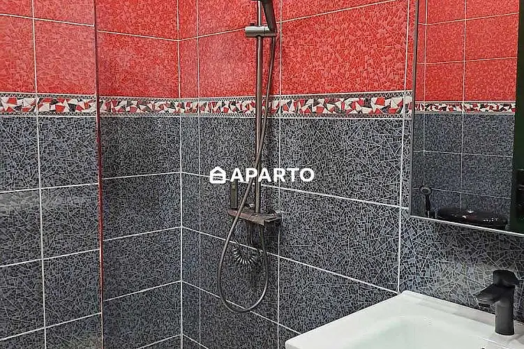 170 ლარი ღამე, ბინა დღიურად