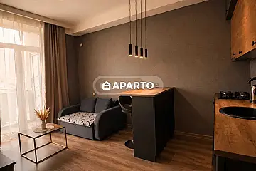 70 ლარი ღამე, ბინა დღიურად