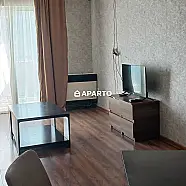 80 ლარი ღამე, ბინა დღიურად
