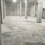 3000 ლარი ღამე, ბინა დღიურად