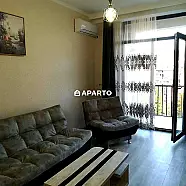 70 ლარი ღამე, ბინა დღიურად