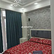 80 ლარი ღამე, ბინა დღიურად