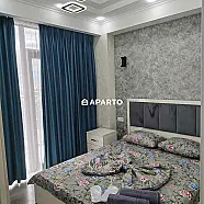 80 ლარი ღამე, ბინა დღიურად