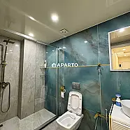 350 ლარი ღამე, ბინა დღიურად
