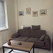 30 ლარი ღამე, ბინა დღიურად